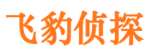 团城山市调查公司